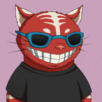 Cat Love GIF by Kitaro World
