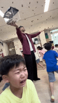Viral Video Cat GIF