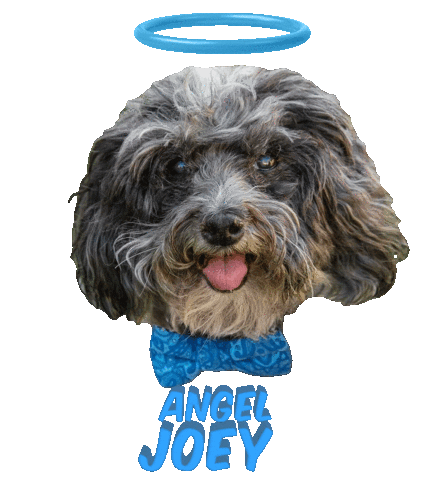 Dog Angel Sticker