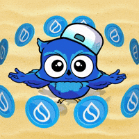 BigBrainTwin Summoning Sui Coins