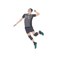 chengchengzz 排球 台電 台電男排 Sticker