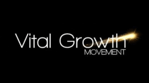 luizalexandrewagner giphyupload business movement growth GIF