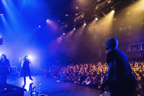 marko_alpner giphyupload guitar throw slovenia GIF
