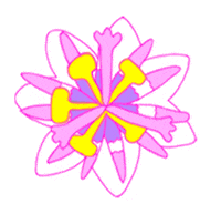 Caminatas Sticker