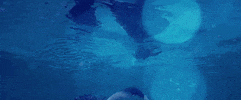 relapse records between waves GIF by The Album Leaf