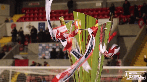 Wind Champions GIF by Cliftonville Football Club