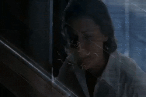 x files GIF by The X-Files