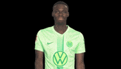 Bundesliga No GIF by VfL Wolfsburg