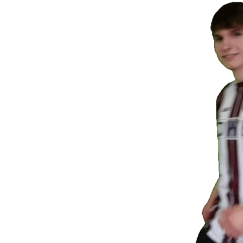 Heinrich Celebrating Sticker by BFC Dynamo