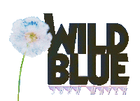 John Mayer Sticker by Columbia Records