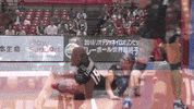 Group Hug Smile GIF by Volleyball World