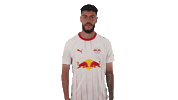 Rb Leipzig Football Sticker by Bundesliga