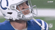 Indianapolis Colts Football GIF by NFL