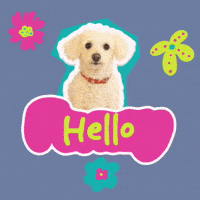 Fun Hello GIF