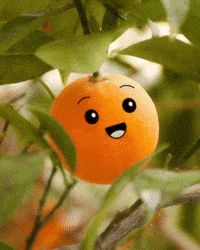 Orange Spring GIF