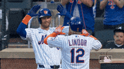 New York Hug GIF by MLB