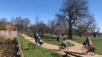 Londoners Flock to Richmond Park Despite Social Distancing Warnings