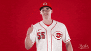 Baseball Mlb GIF by Cincinnati Reds