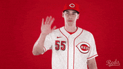 Baseball Mlb GIF by Cincinnati Reds