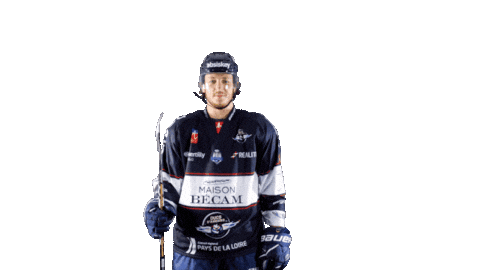 Hockey Ice Sticker by Les Ducs d'Angers