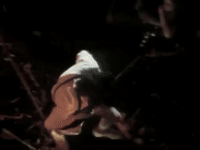 angus young GIF