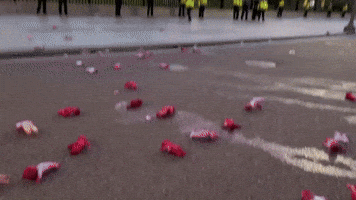 'Bloody' Dolls Thrown at White House During Protest Calling for Gaza Ceasefire