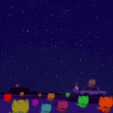 Cat Bop GIF