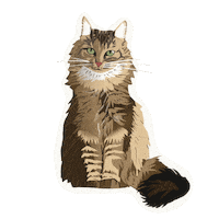 Cat Sticker