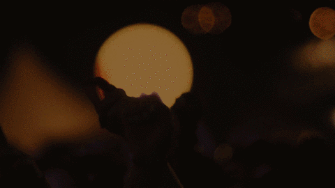 the meadows festival GIF by The Meadows NYC