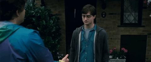 Dalekbuster523 giphygifmaker harry potter daniel radcliffe warner bros GIF