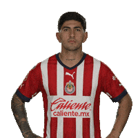 Chivas Telemundodeportes Sticker by Telemundo