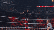 Sport Wwe GIF by USA Network
