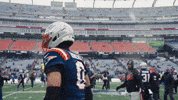 Football Nfl GIF by New England Patriots