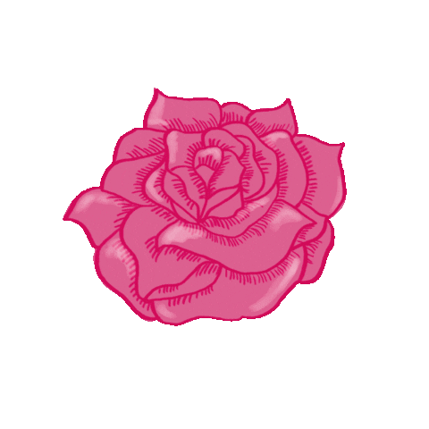 YoniCircle pink beauty flowers rose Sticker