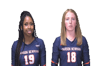 C-N Volleyball Sticker by Carson-Newman Athletics