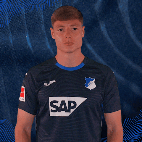 Sport Bundesliga GIF by TSG Hoffenheim
