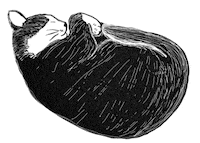 Sleepy Black Cat Sticker