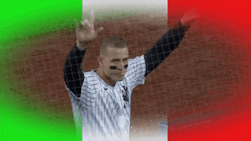 Waving New York GIF by YES Network