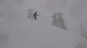 skiing pow pow GIF by Elevated Locals