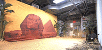 fallontonight genie omg fallontonight speed GIF