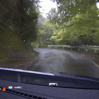Car Crash Sport GIF by FIA World Rally Championship