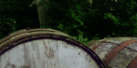 MootorsaedLaulsid together twins peeking mootorsaed laulsid GIF