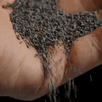 Humor Cesko GIF by Penam