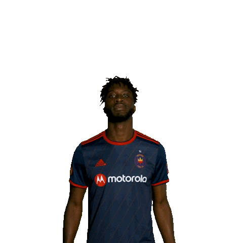 Lets Go Yes Sticker by Chicago Fire Football Club