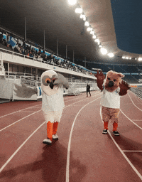 Soccer Maskotti GIF by Huuhkajat