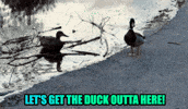 What The Duck Im Outta Here GIF by Linda Rey & Trevor