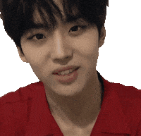 K-Pop Sticker by PENTAGON