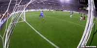 usa GIF by SB Nation