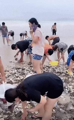 yj_jane giphyupload GIF