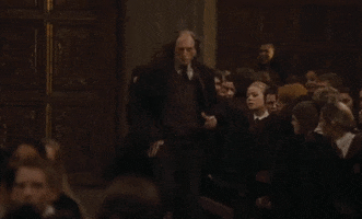 Harry Potter Running GIF by LittleOmig